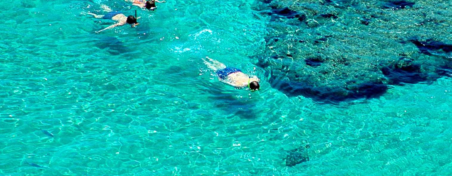 Flight deals sydney to hawaii