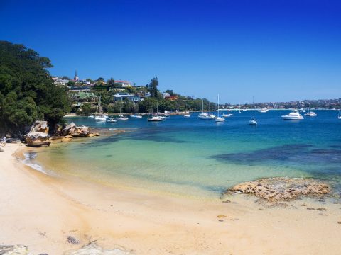 sydney harbour sunny day boats