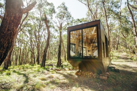 Jude by CABN, Adelaide Hills, South Australia