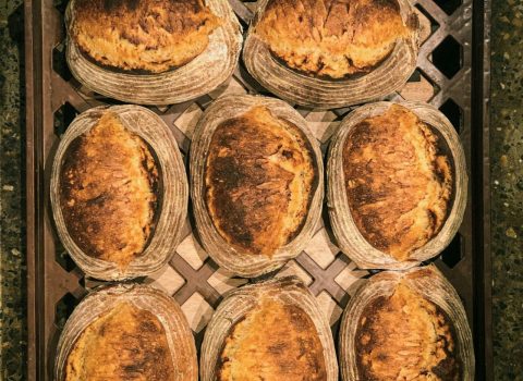 Poolish & Co Sourdough