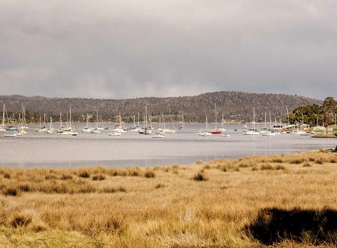 Port Cygnet Cannery