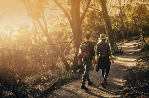 Embark on a mystery picnic, Tasmania