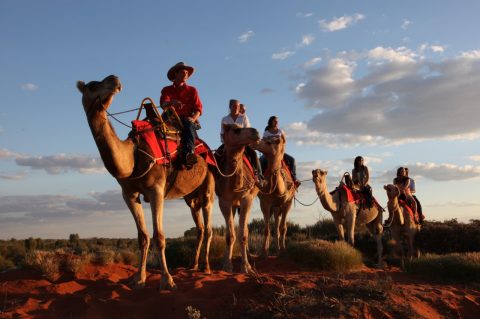 Uluru by camel