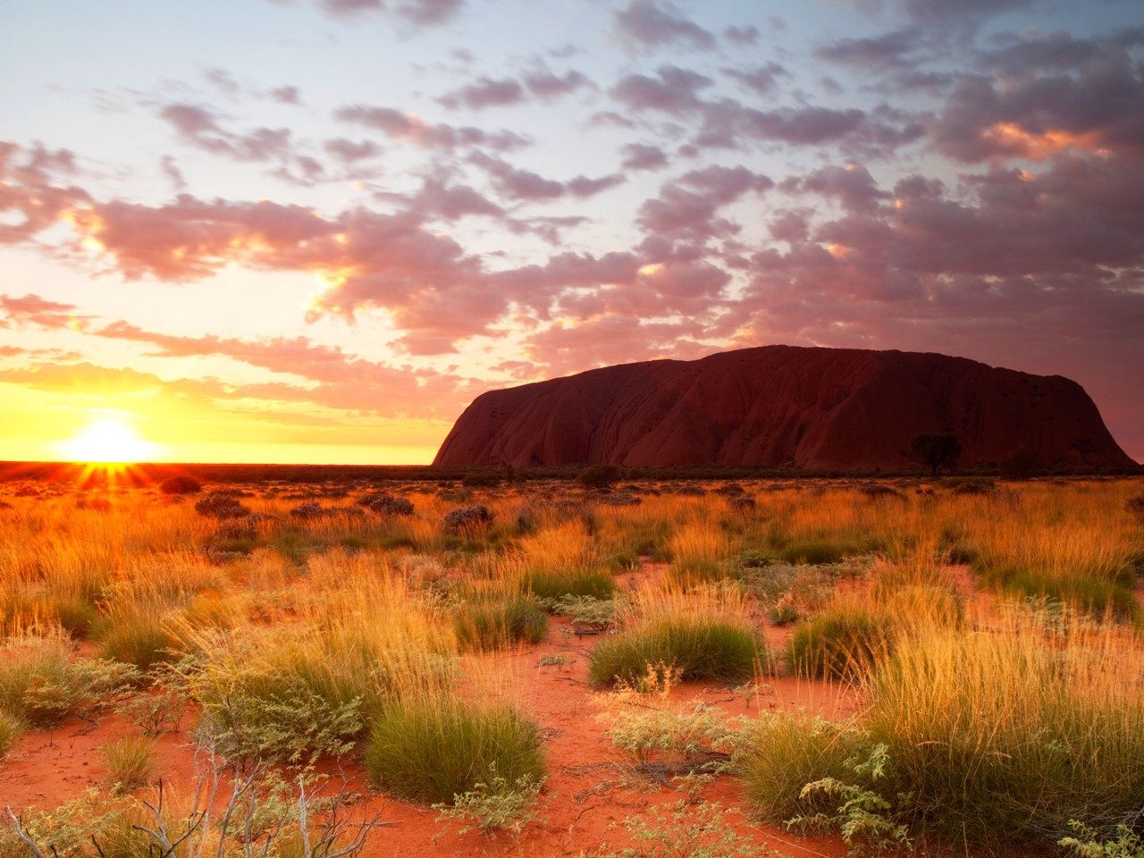 Uluru at sunrise