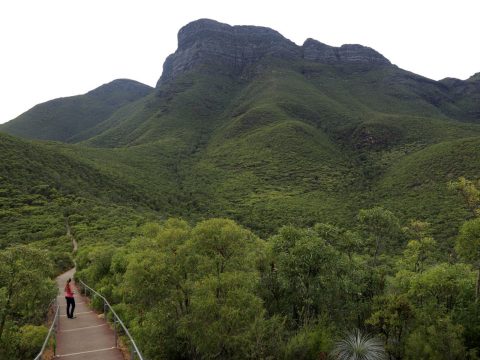 Bluff Knoll, Western Australia