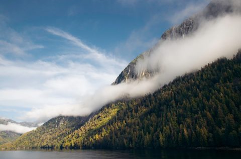 Tongass National Park in Alaska