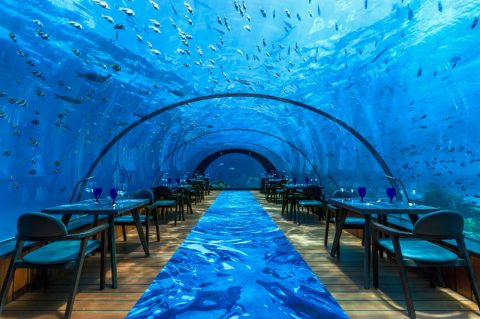 Eat at the world’s biggest underwater restaurant