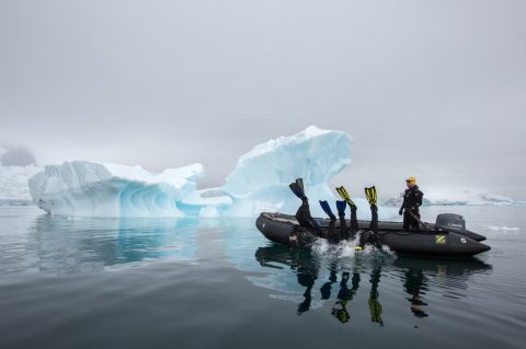 Snorkel in Antarctica