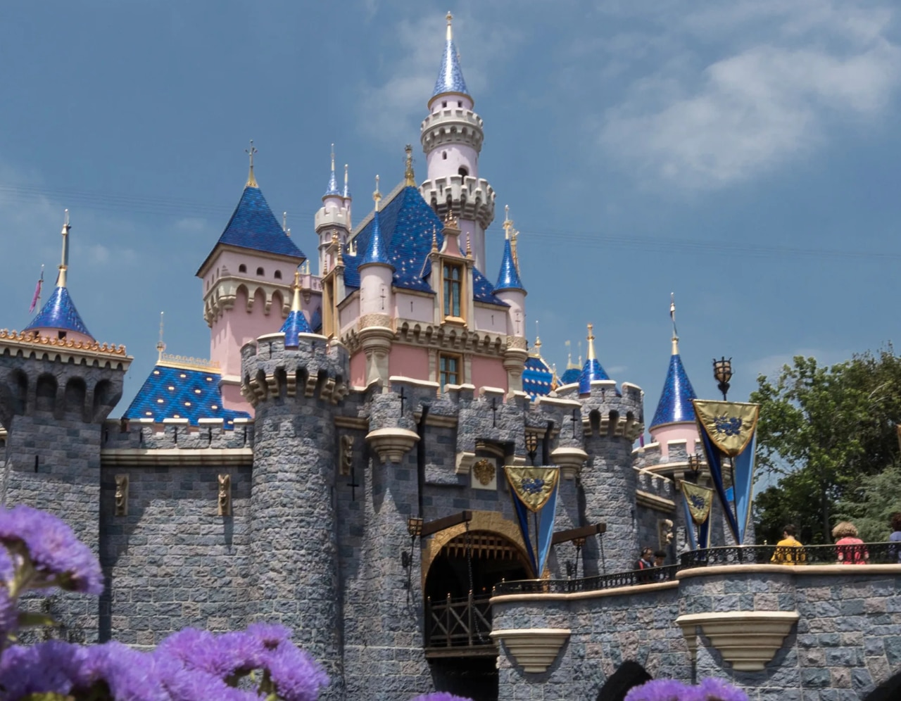 Disneyland castle