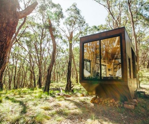 Jude by CABN, Adelaide Hills, South Australia