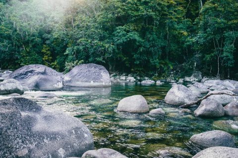 Daintree National Park, Australia