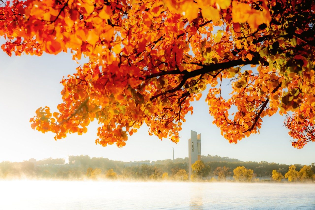 Sunrise in Autumn, Canberra