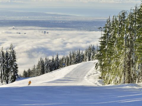 Grouse Mountain