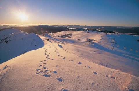 Mount Buller, Victoria