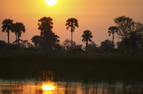 Sunset on safari in Botswana