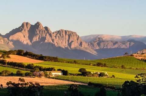 Stellenbosch wine region in South Africa