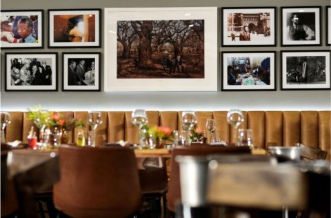 Insights at Sanctuary Mandela