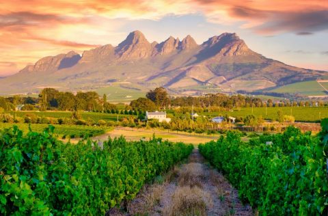 Earn more Qantas Points