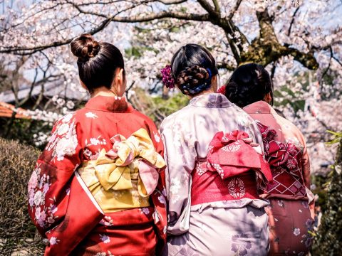 Cherry Blossoms in Kyoto How to Beat the Crowds