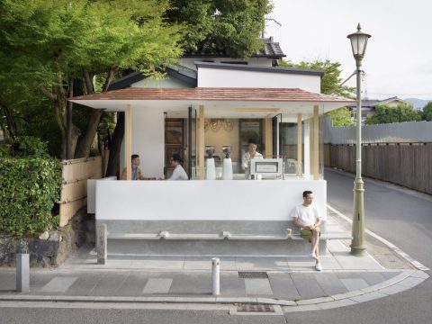 Cherry Blossoms in Kyoto How to Beat the Crowds