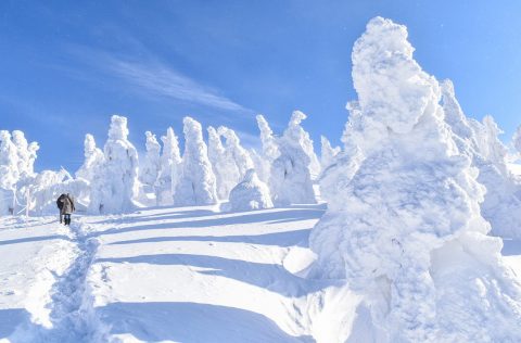 snowy landscape