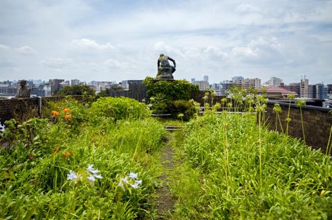 yanaka garden