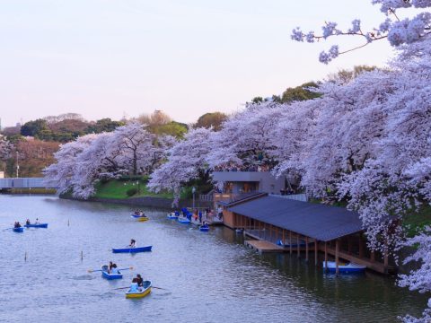 Chidorigafuchi, Tokyo