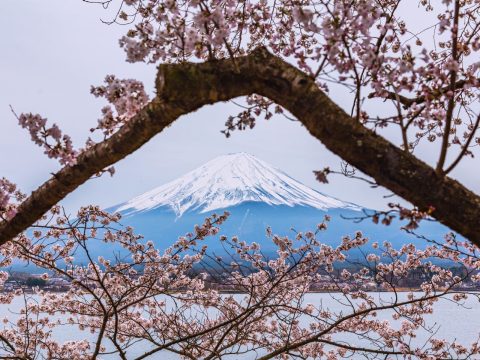 Lake Kawaguchi, Yamanashi Prefecture