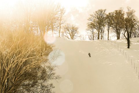 A lone skier on the Yamabiko slopes at the resort, Japan