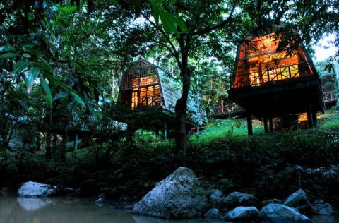 Tabin Wildlife Resort chalets in Malaysia