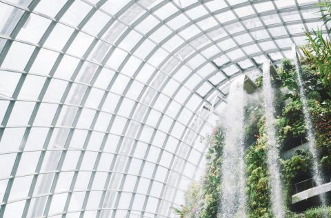 The Cloud Forest at Gardens by the Bay, Singapore