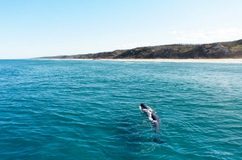 Fraser Island