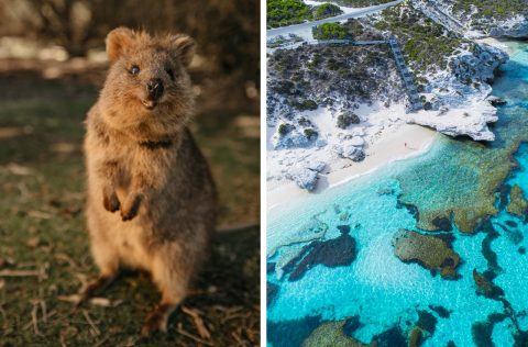 Rottnest Island