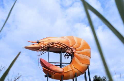 The Big Prawn: Ballina, NSW