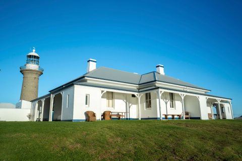 Montague Island, Narooma, NSW