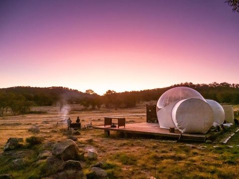 Mirumiru, Tenterfield