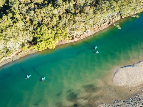 Paddleboarding, Solitary Islands Marine Park, NSW