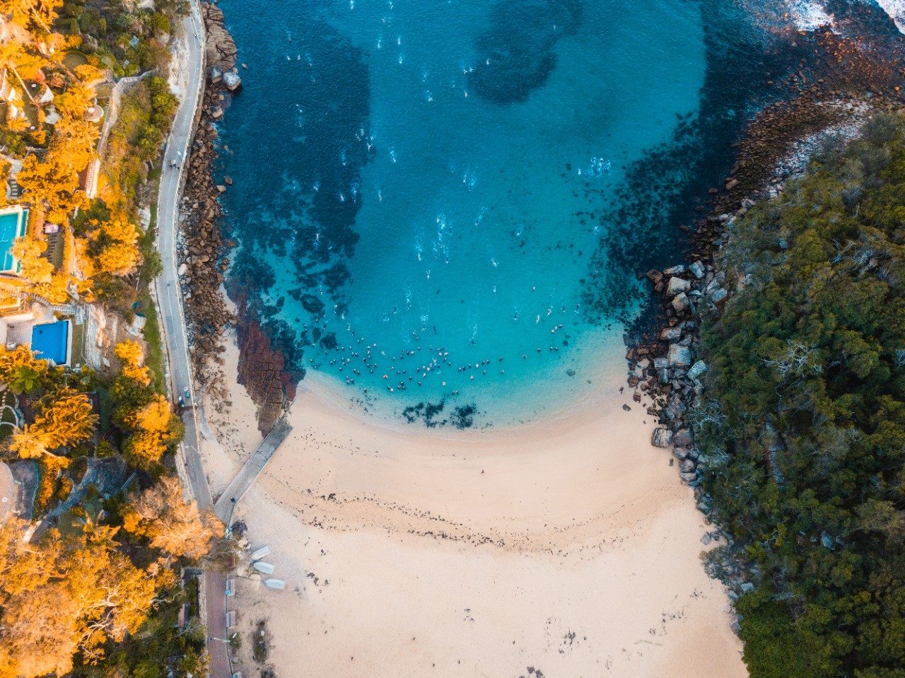 Shelly Beach, Manly