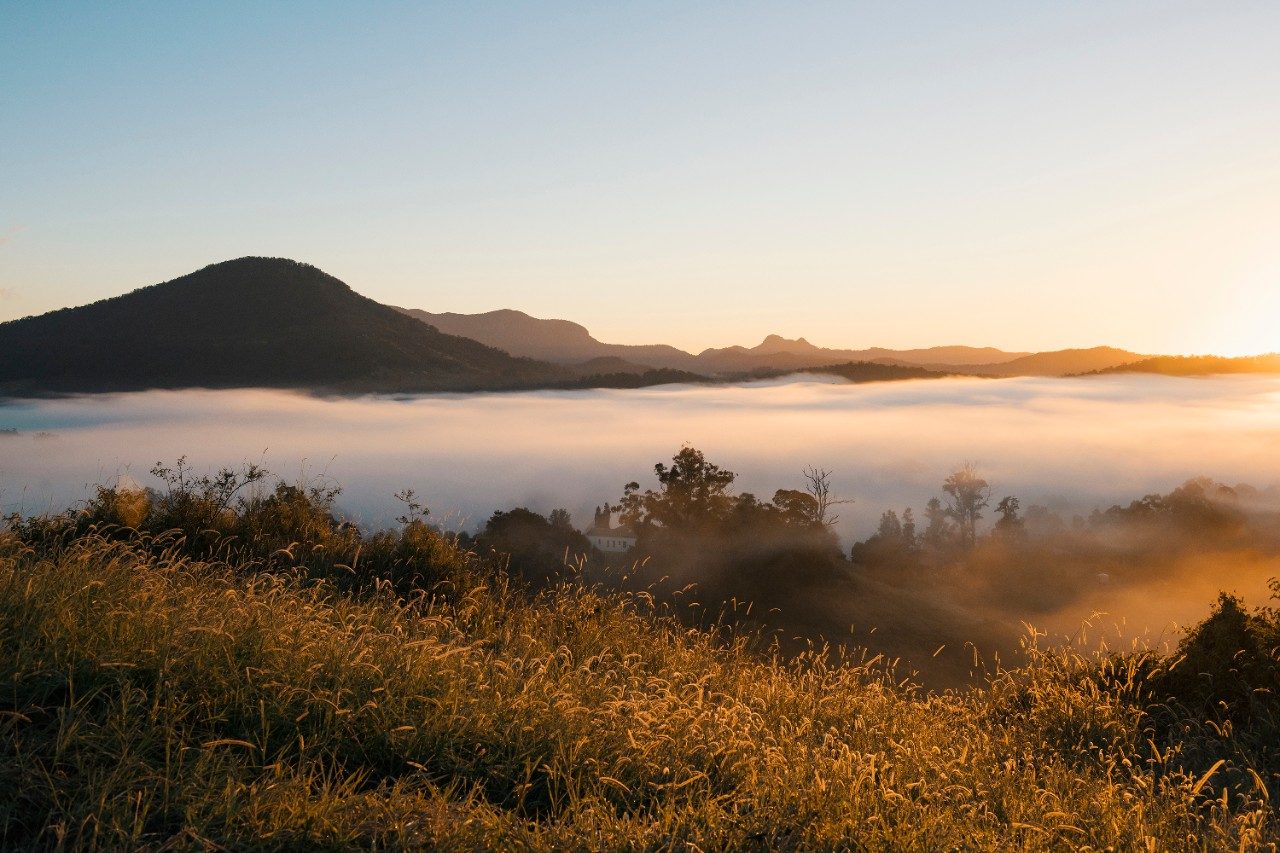 Tweed Valley, Murwillumbah, NSW