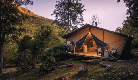 Nightfall at Lamington National Park