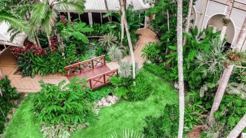 Holiday Inn Cairns Harbourside garden 