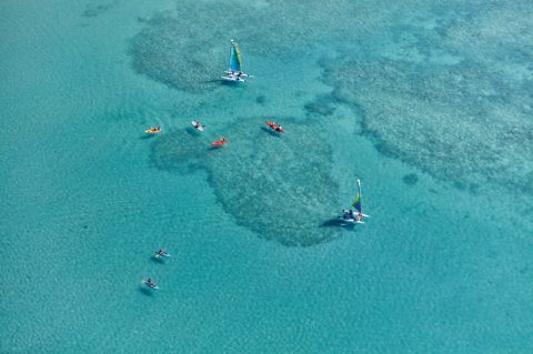 Catseye Beach, Hamilton Island