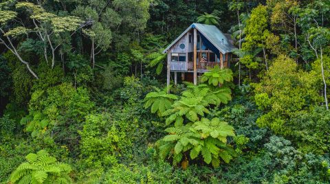 Rose Gums Wilderness Retreat