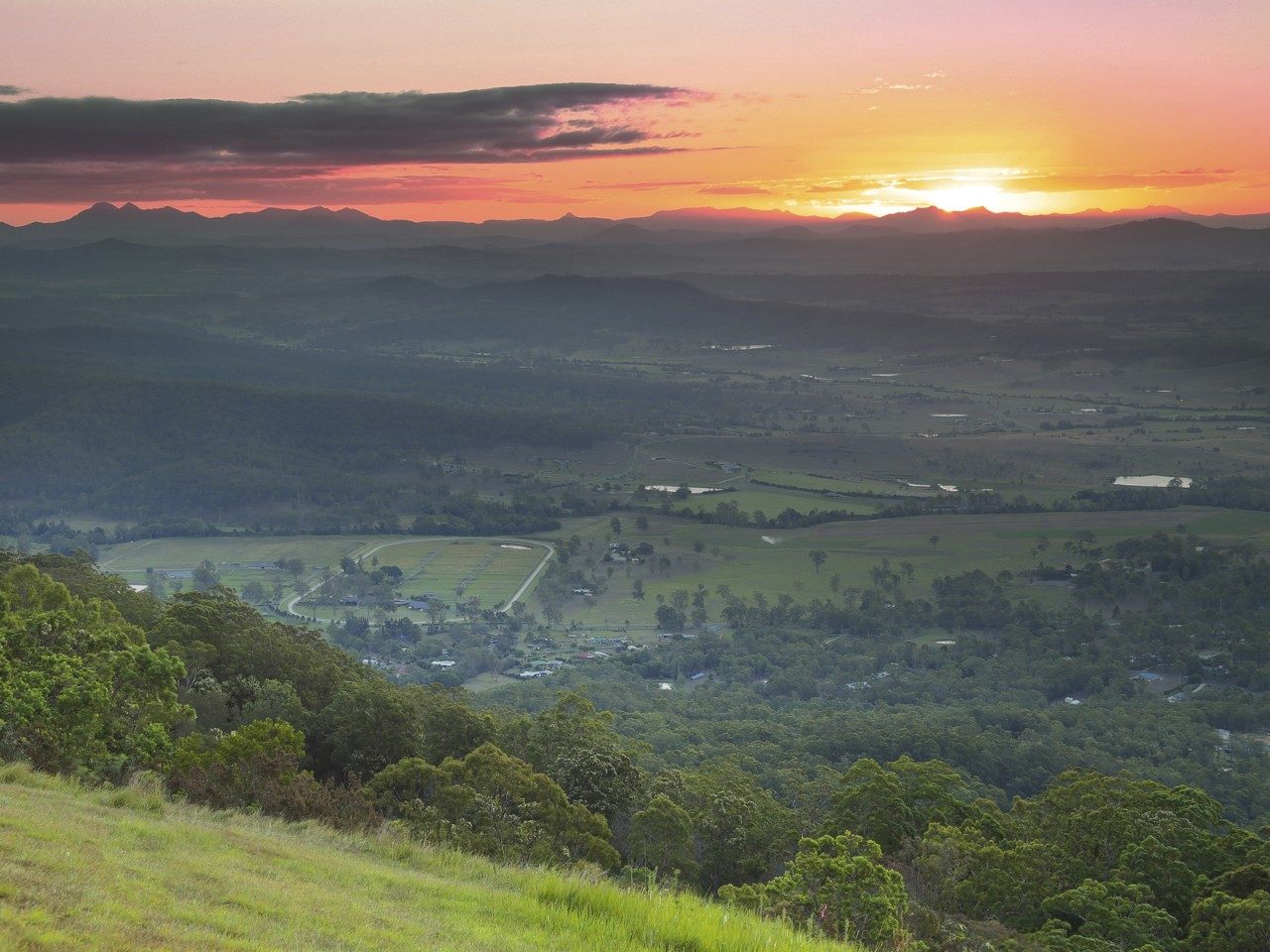 tamborine-mt.jpg