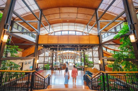 Kingfisher Bay Resort on K'Gari (formerly Fraser Island)