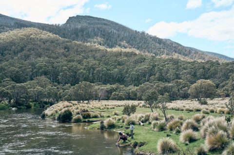  Thredbo, Snowy Mountains