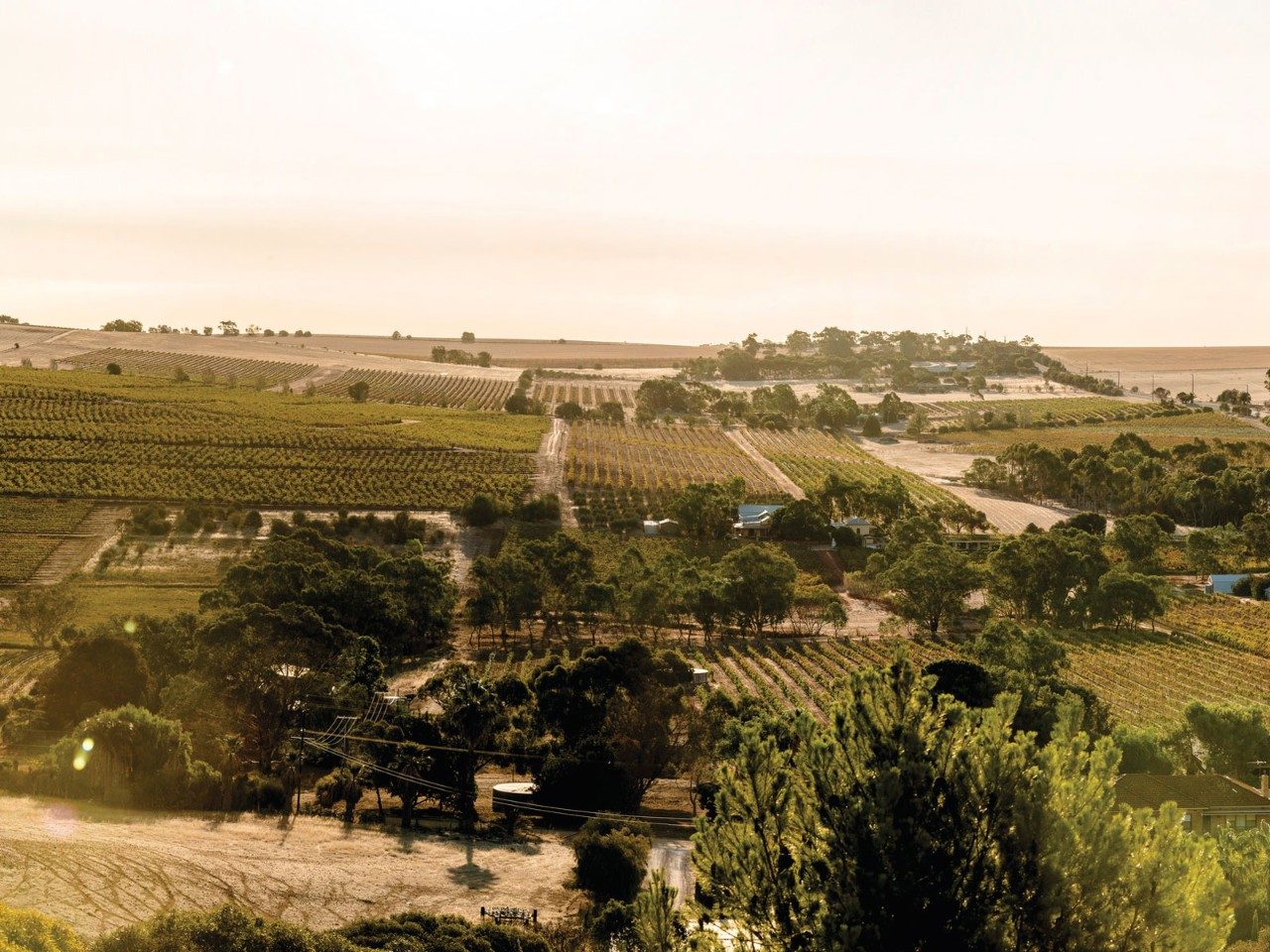 Barossa Valley, South Australia