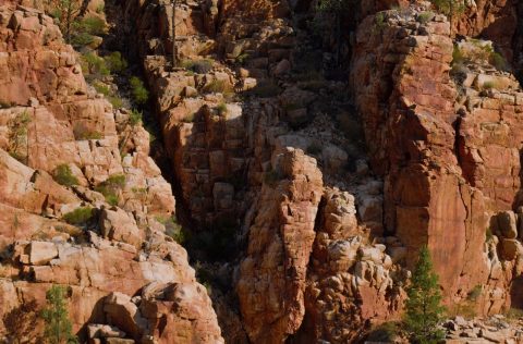 Defender Experience: Flinders Ranges