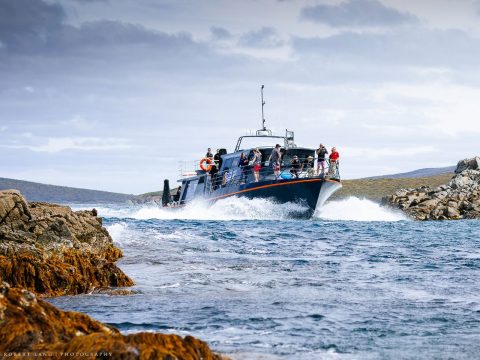 Encounter Great White Sharks in South Australia’s Eyre Peninsula