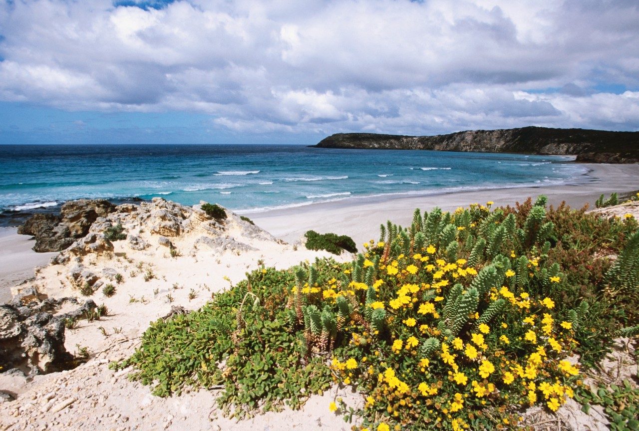 Pennington Bay, Kangaroo Island